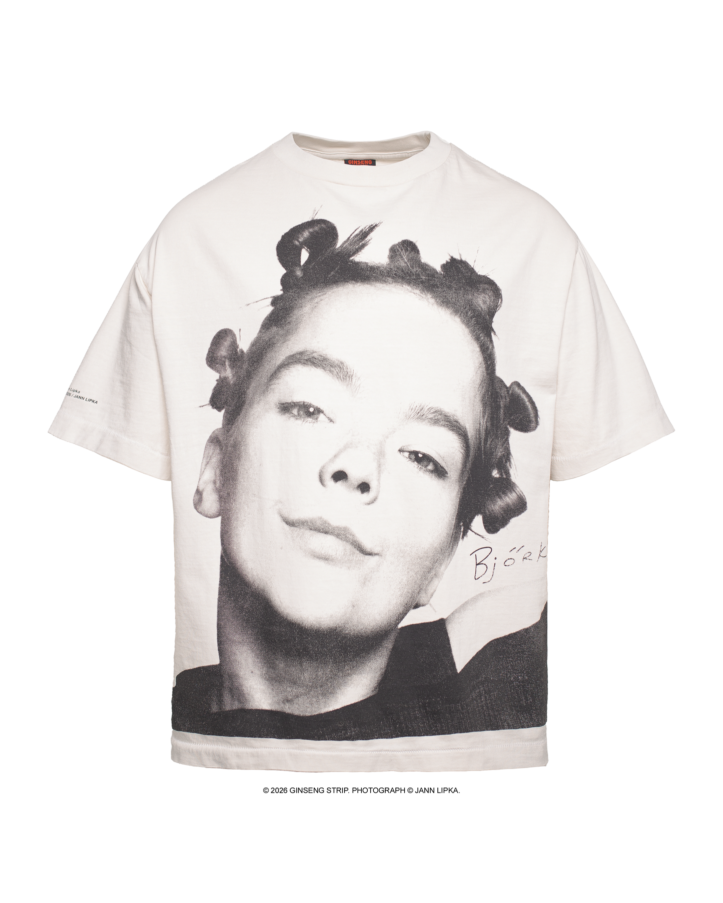'1993 Björk" by Jann Lipka